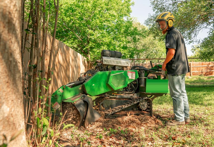 Stump grinder chewing through a stump along a fence line
