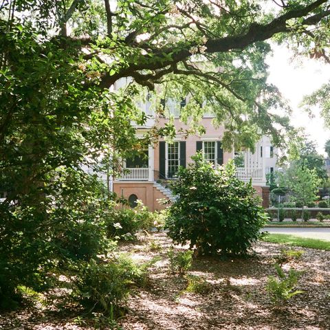 Tall trees shading the yard in front of a house