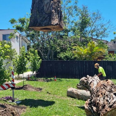 Crane lifting a cut section of trunk above a backyard